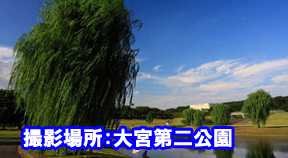 撮影場所:大宮第二公園
