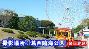 撮影場所：葛西臨海公園（B地区）（※B地区）