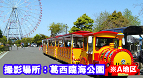 撮影場所:葛西臨海公園(※A地区)