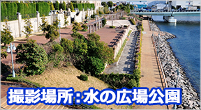 撮影場所:水の広場公園